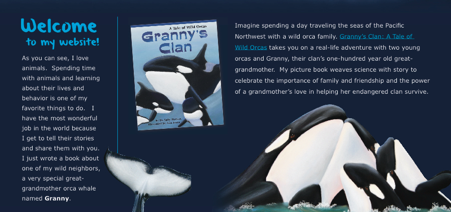 Granny's Clan: A Tale of Wild Orcas